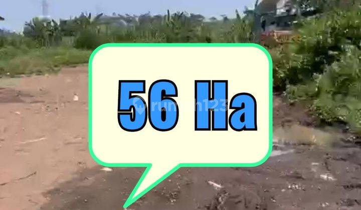 Tanah SHM Raya Wonosalam, Jombang Tepi Jalan 1