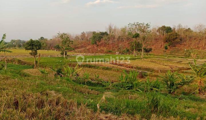 Tanah di Sumberkembar, Pacet Mojokerto SHM 1