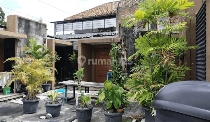 Guest House Asri di Jantung Yogyakarta – Harga Menarik!   1