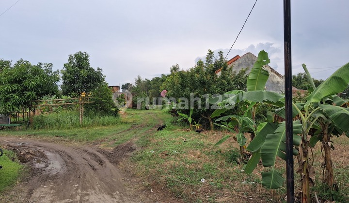 Dijual Tanah Hook di Bumi Rejo Jatirejo Diwek Dijual Tanah Hook di Bumi Rejo Jatirejo Diwek
