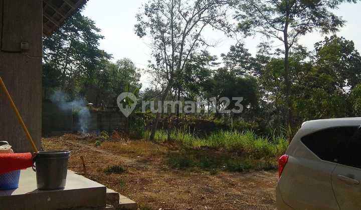 Dijual Tanah Peternakan Siap Pakai, Amoe, Boyolali Jawa Tengah 3