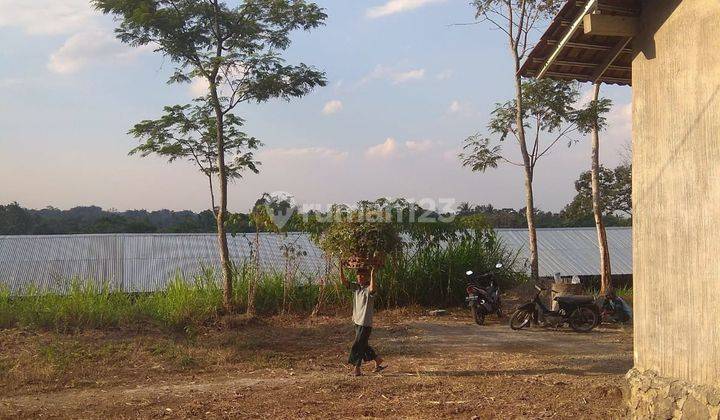 Dijual Tanah Peternakan Siap Pakai, Amoe, Boyolali Jawa Tengah 9
