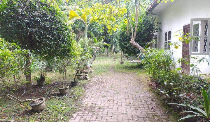 Jual Cepat Rumah Kontemporer Siap Huni Sudirman Medan