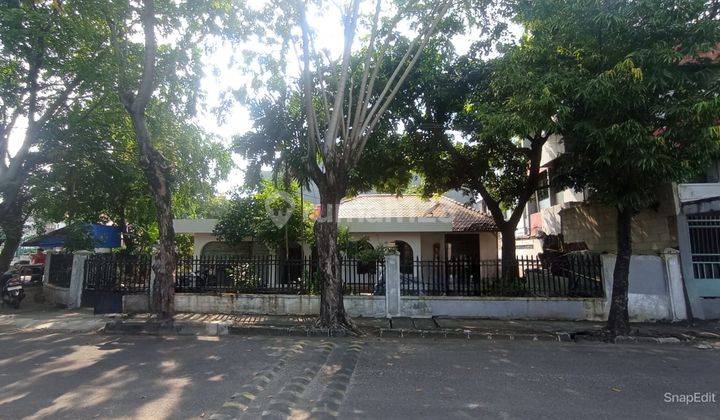 Rumah Asri di Jakarta Pusat 1