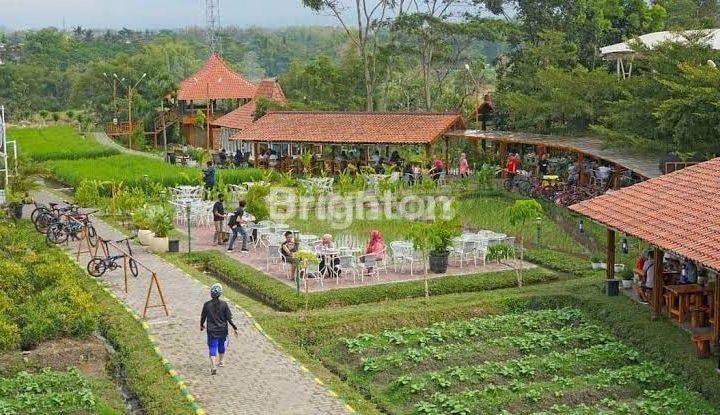 TANAH MURAH STRATEGIS DEKAT NK CAFE MALANG 2