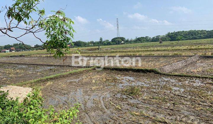 TURUN HARGA TANAH SIAP BANGUN DEKAT EXIT TOL SRAGEN 1