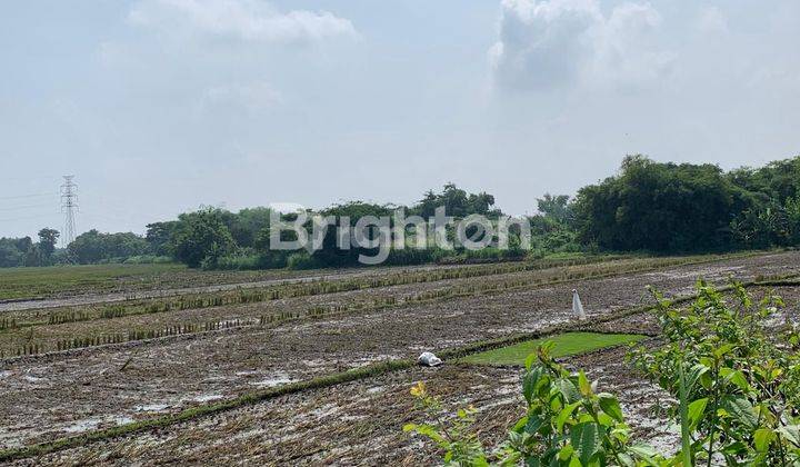 TURUN HARGA TANAH SIAP BANGUN DEKAT EXIT TOL SRAGEN 2