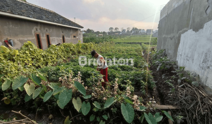 TANAH SIAP BANGUN SAMPING JALAN DEKAT UNIVERSITAS MUHAMMADIYAH DAN AR ROHMAH PUTRI 1