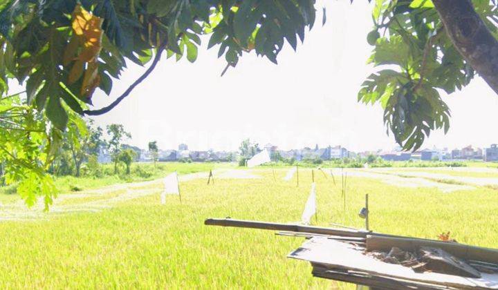 SAWAH DAN LAHAN PRODUKTIF KOTA MALANG DEKAT KAMPUS  2