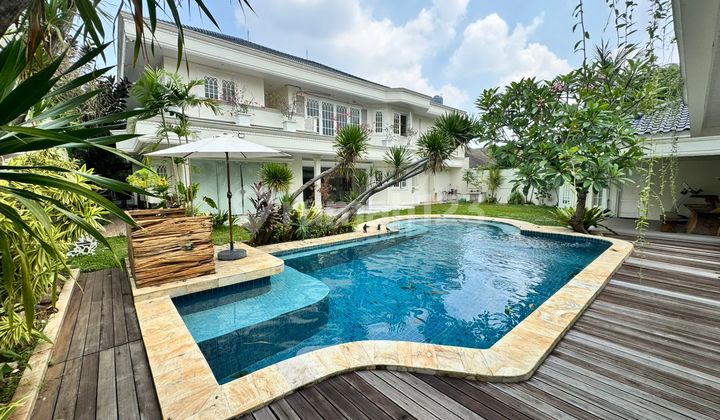 Luxury House in Cilandak - South Jakarta Luxury House in Cilandak - South Jakarta