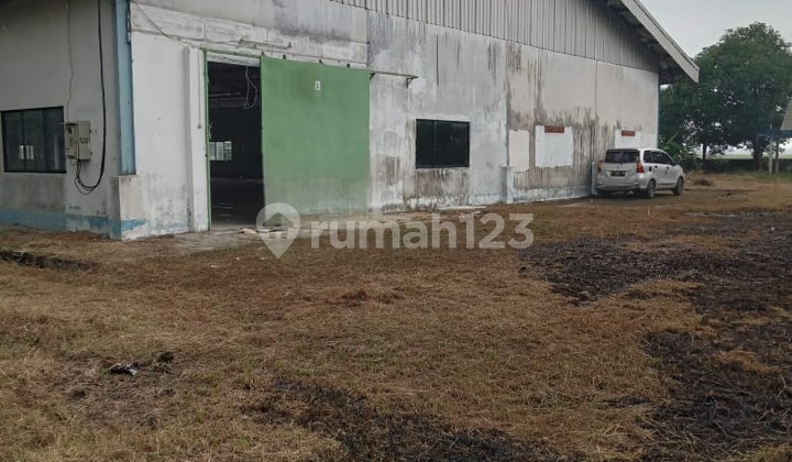 Warehouse For Sale In Compreng - Subang