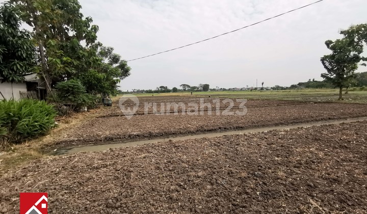 Dijual Tanah SHM 3.539m2 di Jalan Babakan Asem, Teluk Naga Dijual Tanah SHM 3.539m2 di Jalan Babakan Asem, Teluk Naga