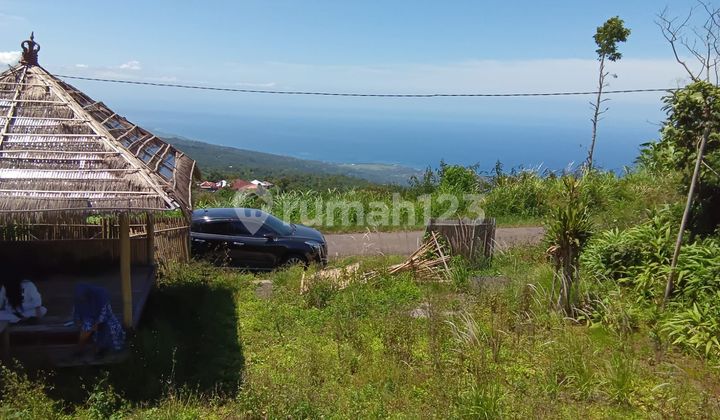 Tanah untuk komersil villa dan guest house Munduk