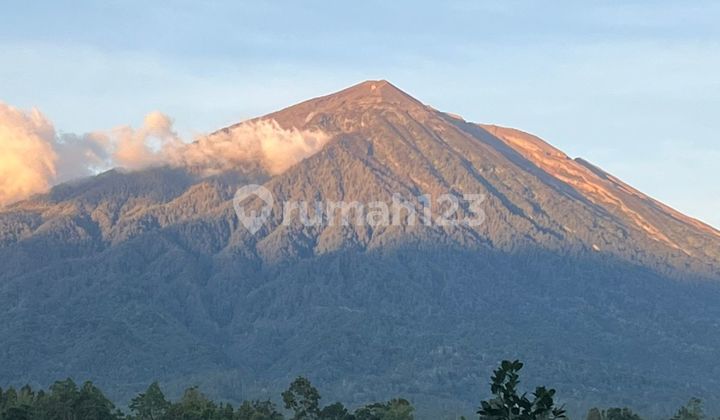 Tanah View Gunung Agung Karangasem