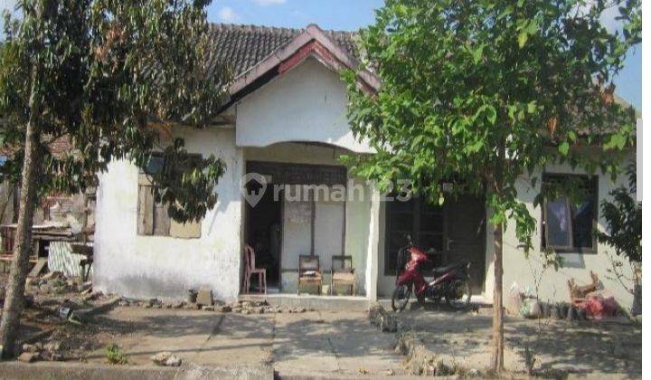 Rumah lelang, SHM, Bandar Lampung, kec.Telukbetung Barat, kel.Gedong Pakuon,  5