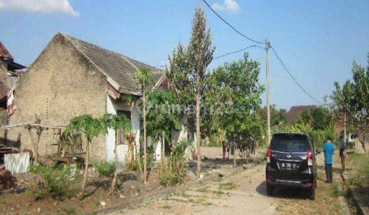 Rumah lelang, SHM, Bandar Lampung, kec.Telukbetung Barat, kel.Gedong Pakuon,  6