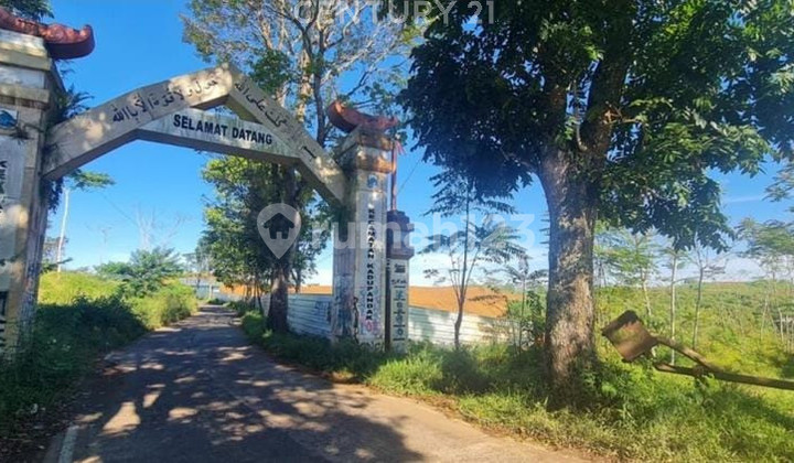 Tanah Lahan Perkebunan Dijual Cianjur