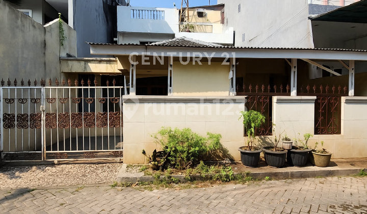 Rumah Tua Harga di Bawah NJOP Lokasi Strategis di Sunter Rumah Tua Harga di Bawah NJOP Lokasi Strategis di Sunter