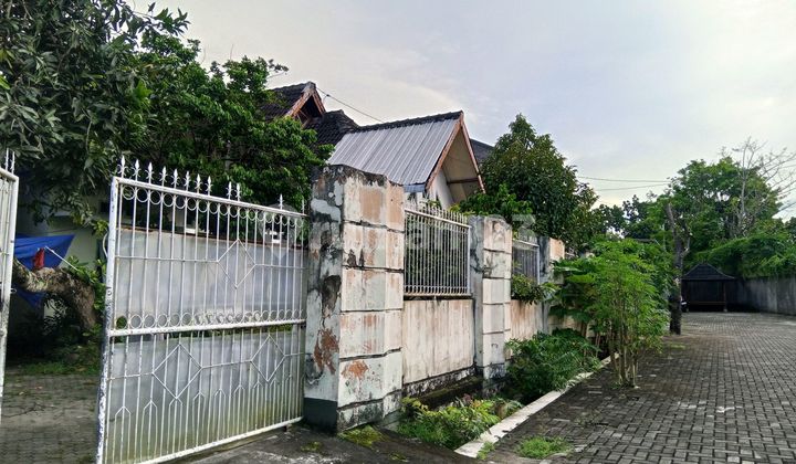 Dijual Rumah Luas Tanah 6 Are Lokasi Phoenix Residence Sandubaya Kota Mataram 2