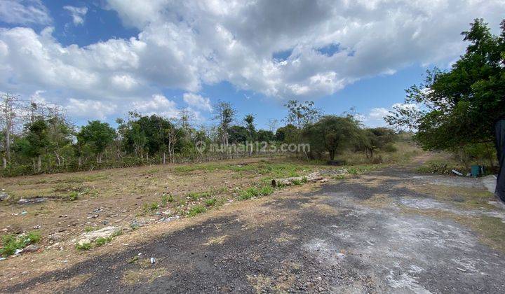 Serene Land For Sale In Balangan Your Slice Of Paradise 1