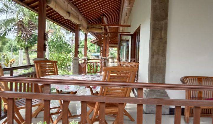 Villa With Rice Field Views In Batuan, Ubud, Bali 2