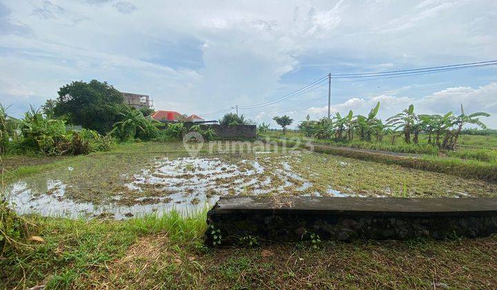 Spacious Land In Cekomaria, Ideal For Villa Development 2