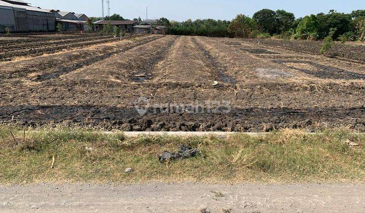 Tanah + Ada Gudang Raya Domas Menganti Gresik, 2 SHM  1