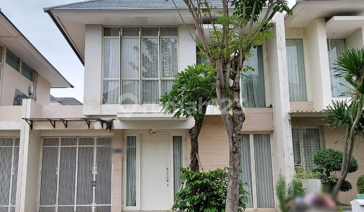 Rumah The Mansion Pakuwon Indah Siap Huni Dekat Citraland