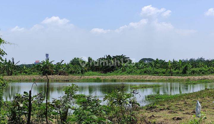 Untuk Pergudangan Dan Industri Tanah Segoro Tambak Sawah Sedati Sidoarjo Juanda 1