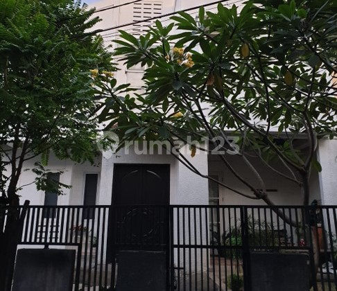 Cilandak, Jl.Intan, JakSel. Rumah Cozy Modern, SiapHuni, 2Lt, SHM