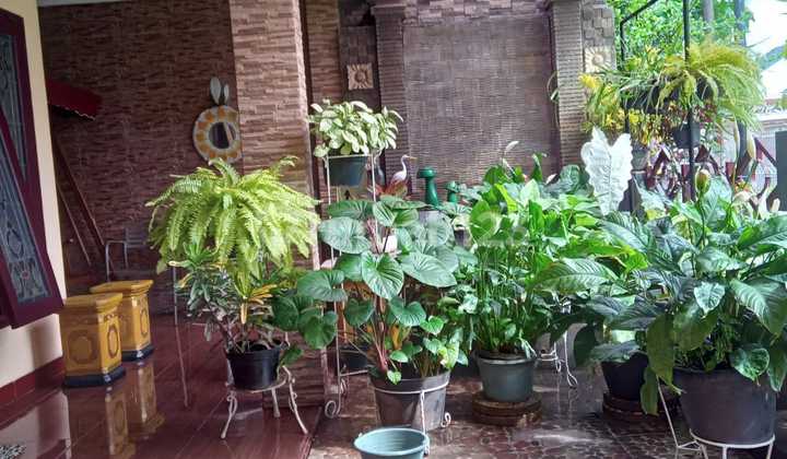 SUPER CHEAP. Bintaro Jaya Sector 3. Ready-to-Live House, 2 Floors, FLOOD-FREE. SUPER CHEAP. Bintaro Jaya Sector 3. Ready-to-Live House, 2 Floors, FLOOD-FREE.