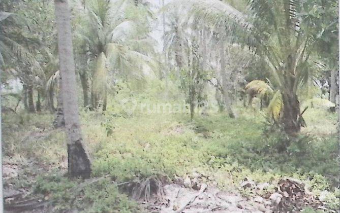 Di jual tanah SHM pinggir pantai di pesawaran pahawang lampung 2