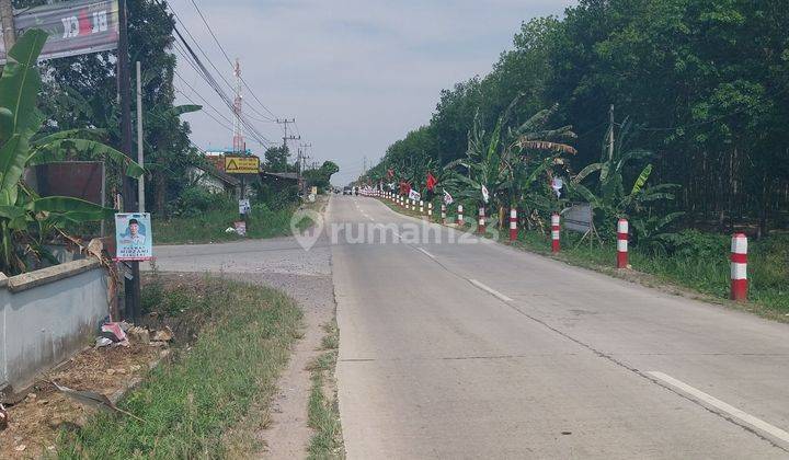 DI JUAL TANAH KAWASAN INDUSTRI TANJUNG BINTANG LAMPUNG SELATAN 2