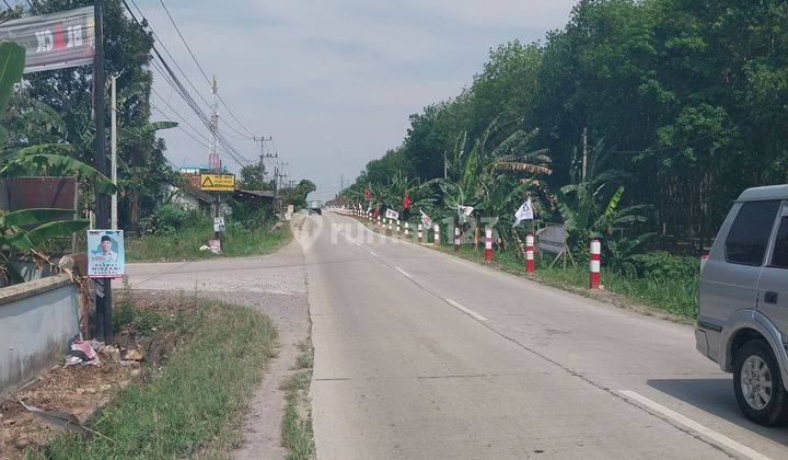 DI JUAL TANAH KAWASAN INDUSTRI TANJUNG BINTANG LAMPUNG SELATAN 1