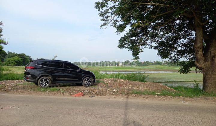 Jual Tanah Sawah Di Jl. Kronjo Bakung Kabupaten Tangerang 2