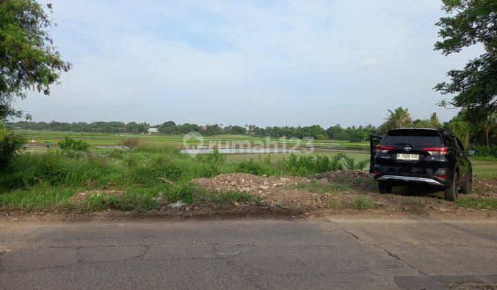 Jual Tanah Sawah Di Jl. Kronjo Bakung Kabupaten Tangerang 2