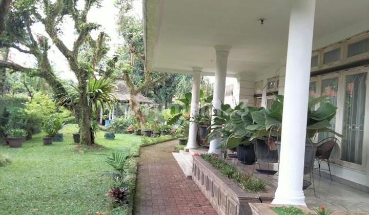 Rumah  & Tanah yang cocok untuk Cluster di lingkungan yang nyaman, asri dan strategis di Cilandak, Jakarta Selatan 2