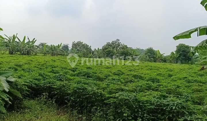 Land for Sale in Kuripan Ciseeng Bogor with 6 Certificates Land for Sale in Kuripan Ciseeng Bogor with 6 Certificates