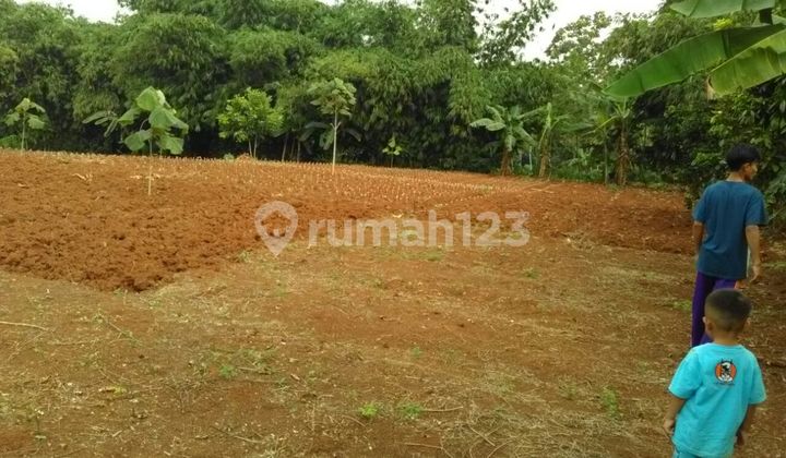 Land for Sale in Kuripan Ciseeng Bogor with 6 Certificates Land for Sale in Kuripan Ciseeng Bogor with 6 Certificates