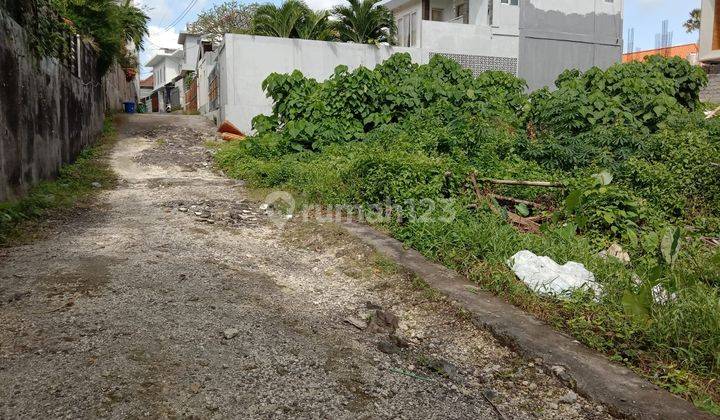 Tanah Premium Di Canggu Jarang Ada  1