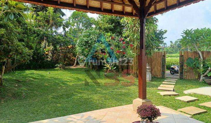 Dijual Dan Disewakan Villa Besar Dengan View Sawah Jungle Kemenuh Dekat Ubud Gianyar Bali 2