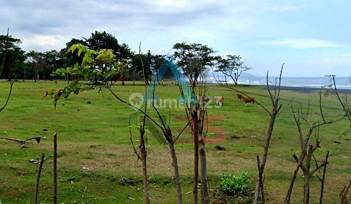 Dijual Tanah Kavling Beachfront Dan Ocean View Pantai Saba Gianyar Bali Cocok Untuk Pariwisata 1