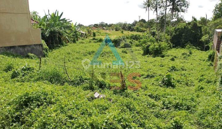 Di Jual Tanah Freehoold Lokasi Padang Tawang Babakan Canggu Badung Bali 1