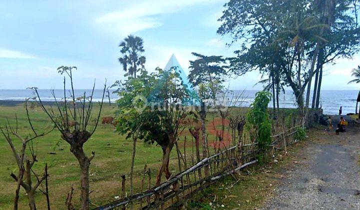 Dijual Tanah Kavling Beachfront Dan Ocean View Pantai Saba Gianyar Bali Cocok Untuk Pariwisata 2