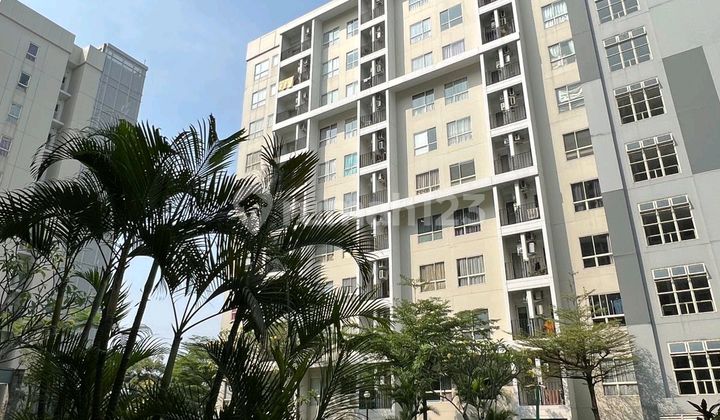 Scientia Residences Gading Serpong For Rent