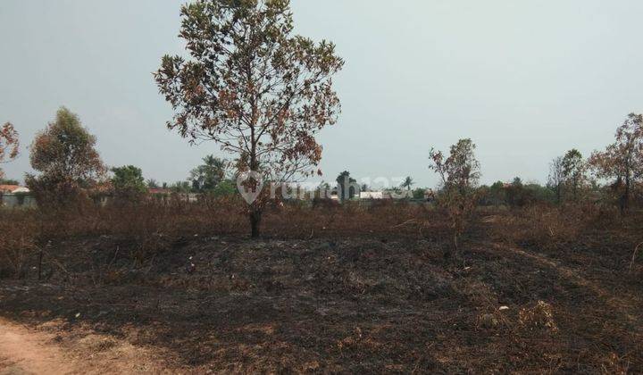 Disewakan Tanah Strategis Di Pasar Kemis  1