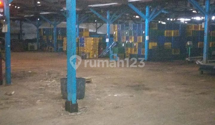 Gudang + Tanah Luas di Tegal Alur Kalideres Jkt Barat Gudang + Tanah Luas di Tegal Alur Kalideres Jkt Barat
