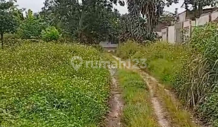 Tanah Padat Murah Di Legok Tangerang Banten Tanah Padat Murah Di Legok Tangerang Banten