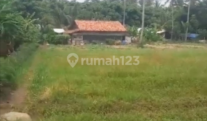 Dijual Tanah Desa Kohod Dekat Pintu Tol Pik 2 Tangerang Dijual Tanah Desa Kohod Dekat Pintu Tol Pik 2 Tangerang