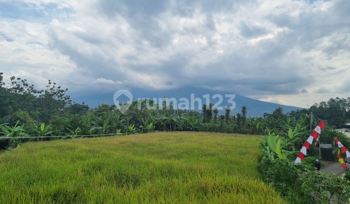 Kavling SHM 45jt Caringin Bogor Kavling SHM 45jt Caringin Bogor